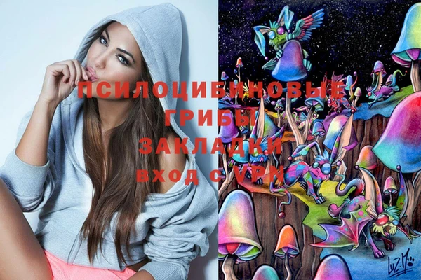 каннабис Богданович