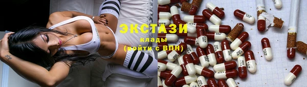крисы Богородицк