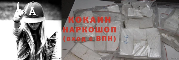 крисы Богородицк