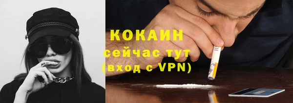 PSILOCYBIN Белокуриха