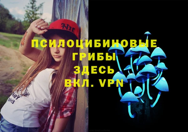 PSILOCYBIN Белокуриха