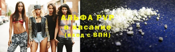 крисы Богородицк