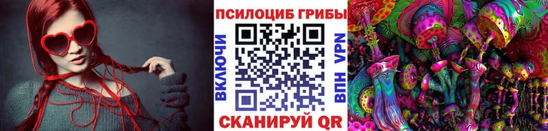 Псилоцибиновые грибы мицелий  Кореновск 